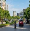 Bán nhà Hồng Tiến 48m2 Thang Máy ngõ thông Gara Ô Tô giá 13.9 Tỷ