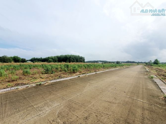 500m thuộc Mỹ Tân. Mỹ Xuân gần khu đô thị Phú Mỹ Gold - 4