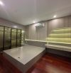 Bán BIỆT THỰ ĐỈNH LONG TP Hải Dương cũ