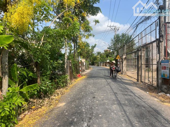 Bán 539m Đât Có Thổ Cư + 10 Căn Trọ Có Gác, Mặt Nhựa Mỹ Hưng Cách Cầu Bến Chùa QL1A 100m - 1