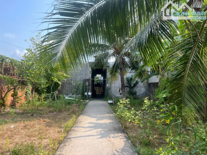 Bán 539m Đât Có Thổ Cư + 10 Căn Trọ Có Gác, Mặt Nhựa Mỹ Hưng Cách Cầu Bến Chùa QL1A 100m - 2