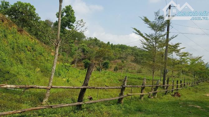 Bán 16 hecta Xã Tiên Hoàng tỉnh Lâm Đồng giá 13 tỷ - 3