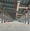 CHO THUÊ NHÀ XƯỞNG 30.000m² TẠI KIM THÀNH HẢI DƯƠNG