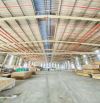 Bán nhà xưởng 5.000m2 đất SKC tại TP Hồ Chí Minh (Tân Uyên cũ) giá chỉ 40tỷ