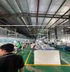 Cho thuê nhà tôn làm nhà xưởng Dt: 200m2 oto đỗ cửa 20tr/1 tháng