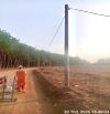 Lô ngộp duy nhất giá rẻ 1000m2 (10 *100), giá 290 triệu, sổ sẳn, TP Đồng xoài, Quốc lộ 14