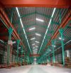 Cho thuê kho xưởng diện tích đa dạng linh hoạt theo nhu cầu tại Bến Lức , Long An