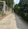 Bán đất vườn cây ăn trái có sẵn thổ cư đường An Thạnh 29, 413m2 giá 6 tỷ 900
