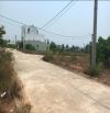 🏕Bán đất KV Tiên hội,P Nhơn thành,Tx An Nhơn, tỉnh Bình Định