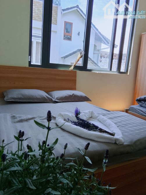 Cho thuê khách sạn 10 Phòng 20 triệu/tháng Hoàng Văn Thụ Phường 5 Đà Lạt - 1