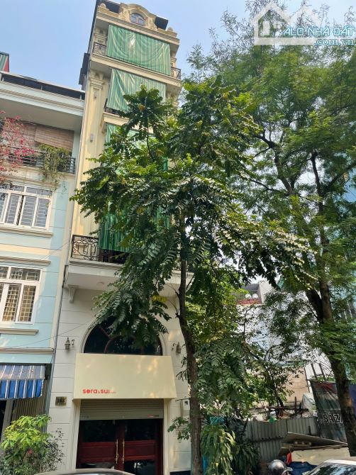 Cho thuê nhà Trần Quang Diệu – 50m² x 6T – thang máy – hợp làm văn phòng, spa, showroom...