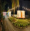 🚨 **1132m² NHÀ VƯỜN – GIẢM SÂU 4TỶ850 CÒN 4 TỶ (HIẾM CÓ)- Gần ngã tư huyện Châu Thành, Bế