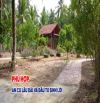 🌿 BÁN 2 căn NHÀ VƯỜN NGHỈ DƯỠNG – SẴN NHÀ GỖ ở Tân Thạch