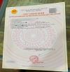 NHÀ BÁN KDC BH 13T5 TL - MẶT TIỀN ĐƯỜNG NHỰA 12m - 6 x 20 - Trệt 2 lầu BTCT - 6PN 6WC.