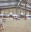 Cần Cho Thuê Kho Hàng 2000- 4.000m² Tại CCN Thanh Oai,Có Hệ Thống PCCC đầy đủ.