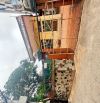 💥 BÁN ĐẤT TẶNG NHÀ C4 GIANG BIÊN LÔ GÓC XÂY BUILDING 7 TẦNG CỰC ĐẸP