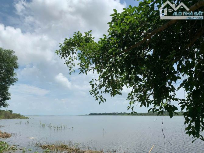 Bán lô đất 1.6ha view hồ Trị An, Phú Lý, Vĩnh Cửu, Đồng Nai, giá 8 tỷ 900. - 1