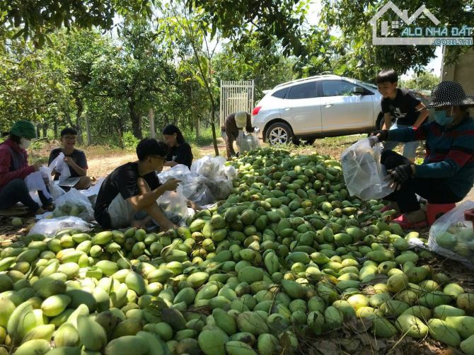 Bán lô đất 1.6ha view hồ Trị An, Phú Lý, Vĩnh Cửu, Đồng Nai, giá 8 tỷ 900. - 2