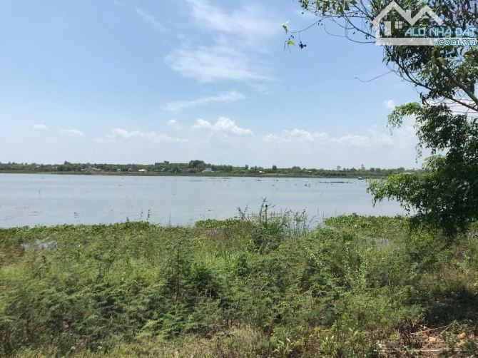 Bán lô đất 1.6ha view hồ Trị An, Phú Lý, Vĩnh Cửu, Đồng Nai, giá 8 tỷ 900. - 5