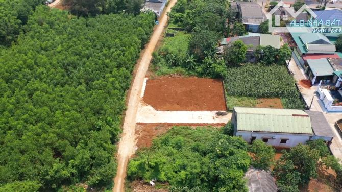 💥TIN NÓNG: LÔ GÓC 2 MẶT TIỀN BIỂN CỬA TÙNG – CHỈ 100M RA BIỂN, HÀNG HIẾM - 5