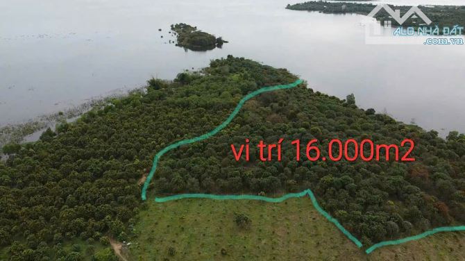 Bán lô đất 1.6ha view hồ Trị An, Phú Lý, Vĩnh Cửu, Đồng Nai, giá 8 tỷ 900. - 7