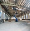 Cho thuê kho xưởng 3000m2 KCN Việt Hương 2, Bến Cát, Bình Dương