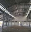 CHO THUÊ KHO 4000m² – GÒ VẤP | Lưu kho - Phòng Live - Studio