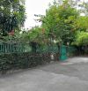 🌿 BÁN NHÀ NGANG 11,7M x 20M - KHU CƯ XÁ PHÚC HẢI - PHƯỜNG TÂN PHONG