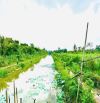 BÁN 4495M2 ĐẤT VƯỜN SẦU RIÊNG CÁCH CẦU CÁI NAI 500M Ô TÔ TỚI ĐẤT