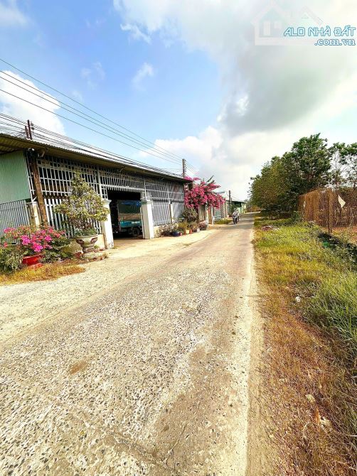 🔻🔻490TR🔻_ĐẤT FULL THỔ LỐI 2 QL22B 5X20M DÂN ĐÔNG,K MỒ MẢ - 2