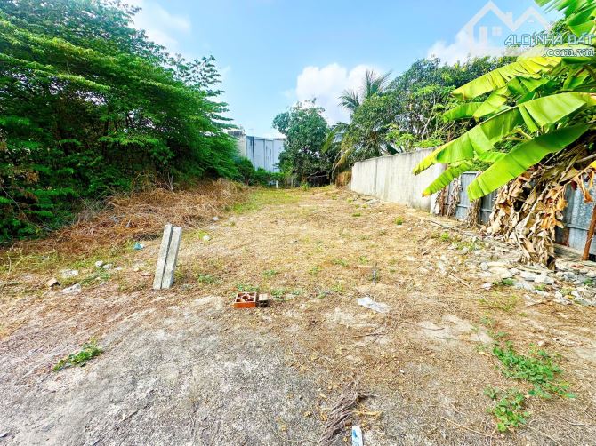🔻🔻490TR🔻_ĐẤT FULL THỔ LỐI 2 QL22B 5X20M DÂN ĐÔNG,K MỒ MẢ - 3