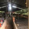BÁN TRAI HEO NGAY ĐƯỜNG 767 DT 5400m2 GIÁ CHI 7 TY500  BH ĐN