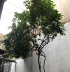 Bán nhà 2 lầu ngay đường đình phong Phú cách Lê văn việt 500 m