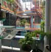 Bán nhà hẻm thông Cô Bắc - ĐH Văn Lang & Phố Tây Bùi Viện Quận 1 DT 30m2 3x10 giá 12.2 Tỷ