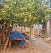 BÁN ĐẤT NGUYỄN VĂN CỪ - LIÊN CHIỂU - ĐÀ NẴNG - KHU VỰC ĐANG PHÁT TRIỀN NHỜ DỰ ÁN HẢI VÂN