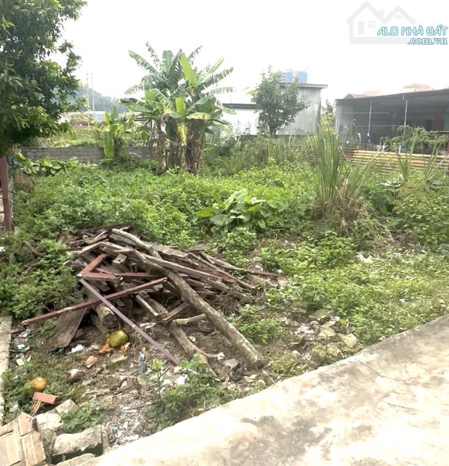 Còn duy nhất 1 lô 85m2 ngang 5,5m bên cạnh Bệnh Viện Đa Khoa Quốc Tế Thuỷ Nguyên - 3