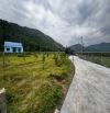Bán nhà view núi thoáng mát, 493m2 có 120m2 đất ở