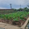 Chính chủ nhờ bán mảnh đất đẹp Phố Nỷ , Trung Giã . Diện Tích : 231m , có180m thổ cư .