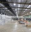Cho thuê kho xưởng 4500m2 mặt tiền Quốc lộ 22, Củ Chi, TP.HCM.