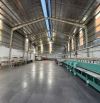 Cho thuê kho xưởng 2000m2 Mới đẹp - giá tốt hiếm có tại Bình Chánh