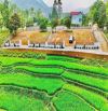 Cần bán đất nghỉ dưỡng 1000m2/100m2 ONT tại Lương Sơn view cánh đồng, lô góc. Đất đẹp