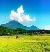 chuyển nhượng dự án biệt thự kèm đất rừng tại thành phố Hòa Bình