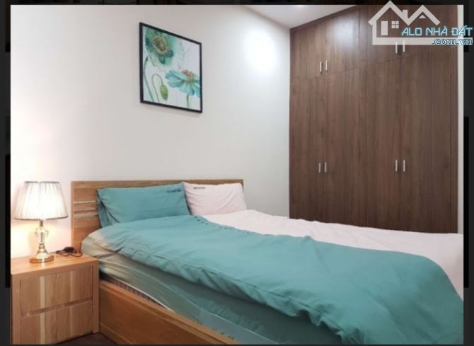 Cho thuê căn hộ Roman Plaza Tố Hữu 75m², 2PN, 2VS, full nội thất đẹp, ở ngay
