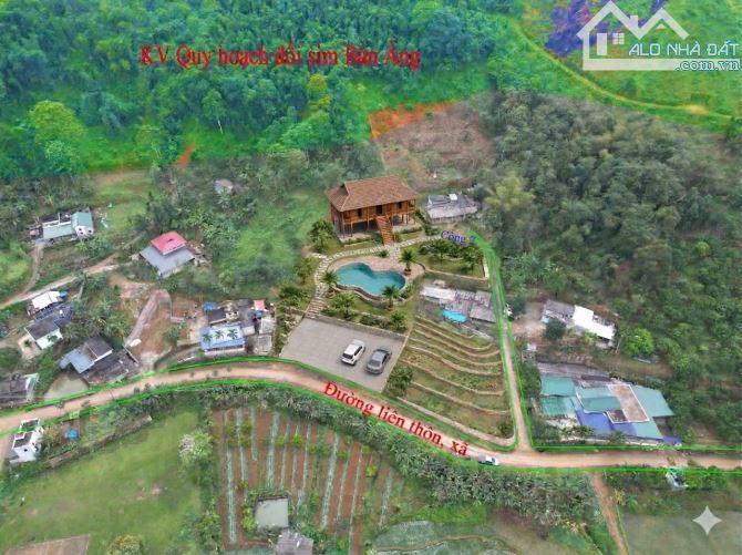 Siêu hot lô đất 2600m full thổ cư cực hiếm cho các nhà đầu tư - 3