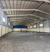 Cho thuê kho xưởng 3004m2 mặt tiền đường xe container tại Bến Tre