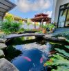 💥 CHO THUÊ BIỆT THỰ SÂN VƯỜN 850M² – CHỈ 20 TRIỆU/THÁNG 💥 📍 Cuối Y Moan – cách trung tâ