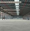 CHO THUÊ NHÀ XƯỞNG 20.000m² trong khu công nghiệp tại Hải Dương