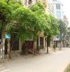 🔥 HIẾM – PHÂN LÔ ĐẶNG THUỲ TRÂM – Ô TÔ TRÁNH – KINH DOANH ĐỈNH