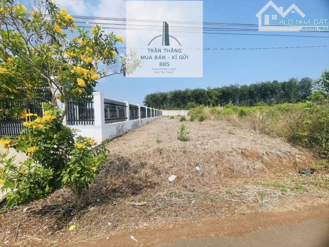 Bán Đất xã Bình Trung, Đường Nhựa , Sổ Riêng , Khu Dân Cư , Thích Hợp Xây Nhà