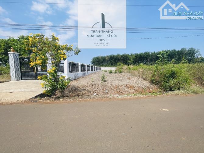 Bán Đất xã Bình Trung, Đường Nhựa , Sổ Riêng , Khu Dân Cư , Thích Hợp Xây Nhà - 3